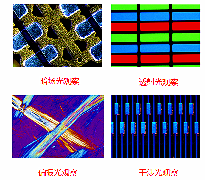 15873692285001600.png 15873692285001600.png